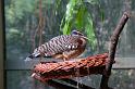 dierentuin emmen_1026